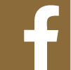 fb icons